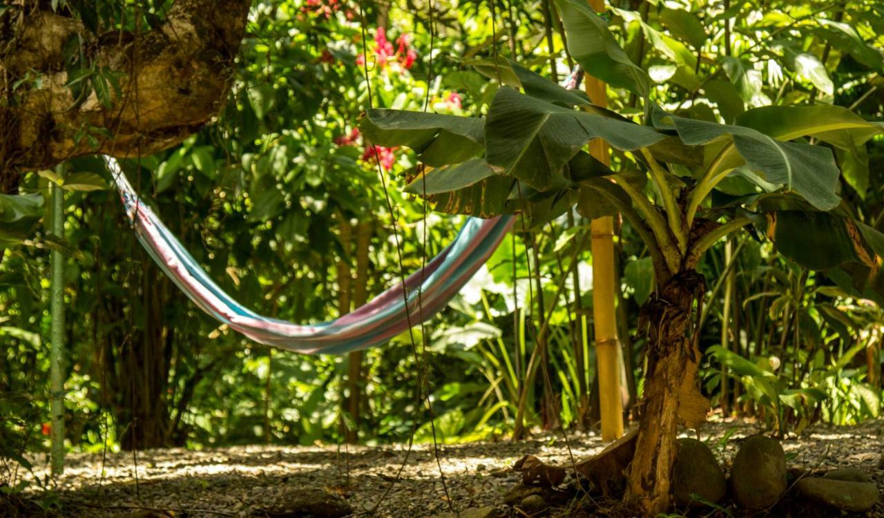 Casa Tucanes Manuel Antonio Zewnętrze zdjęcie